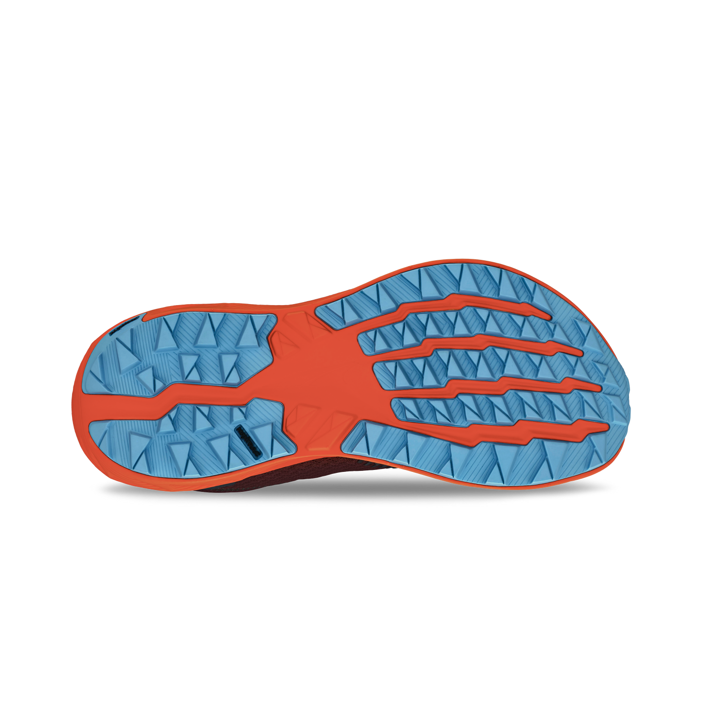 ALTRA EXPERIENCE WILD