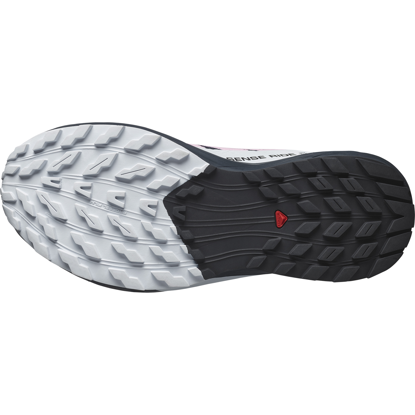 SALOMON SENSE RIDE 5 (Sólo tienda online)