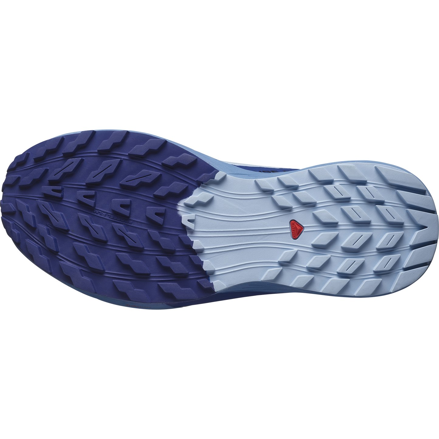 SALOMON SENSE RIDE 5 (Sólo tienda online)