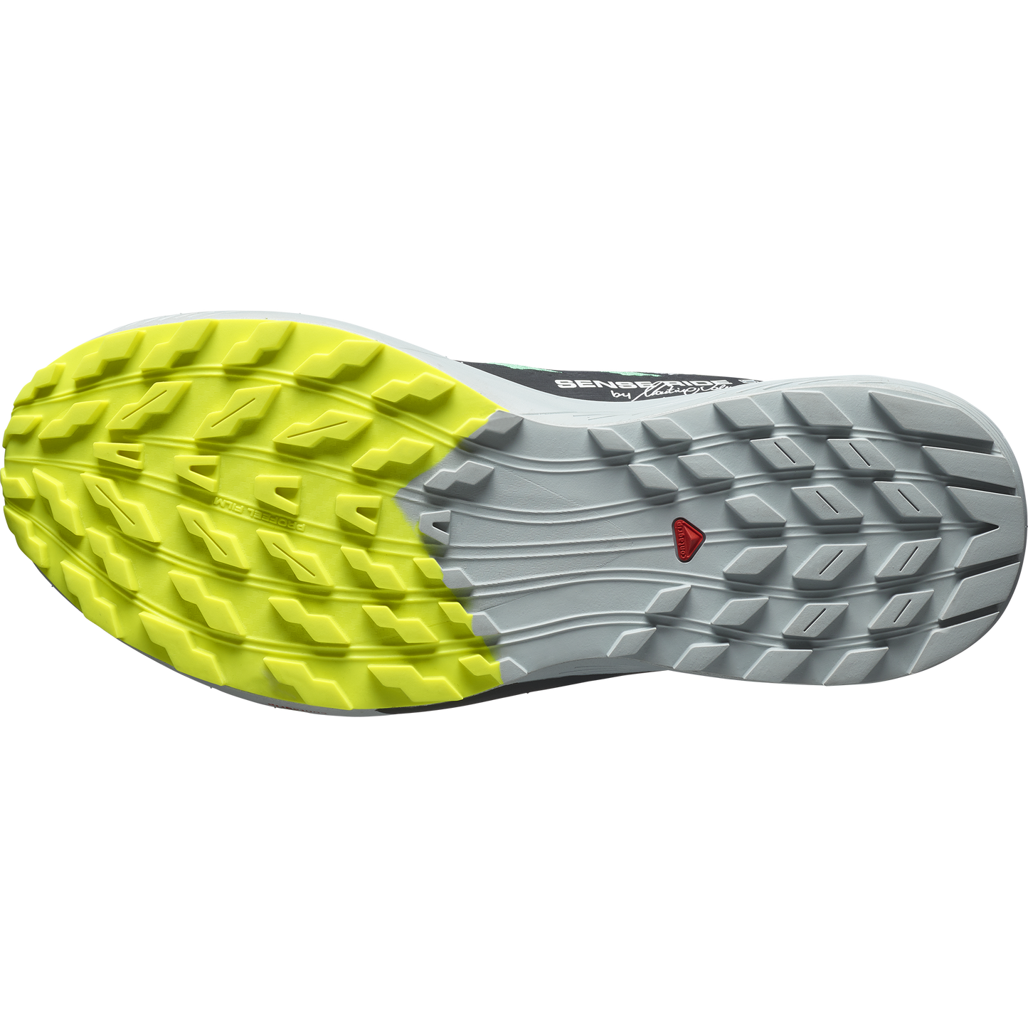 SALOMON SENSE RIDE 5 MARTINA "LIMITED EDITION" (Sólo tienda online)