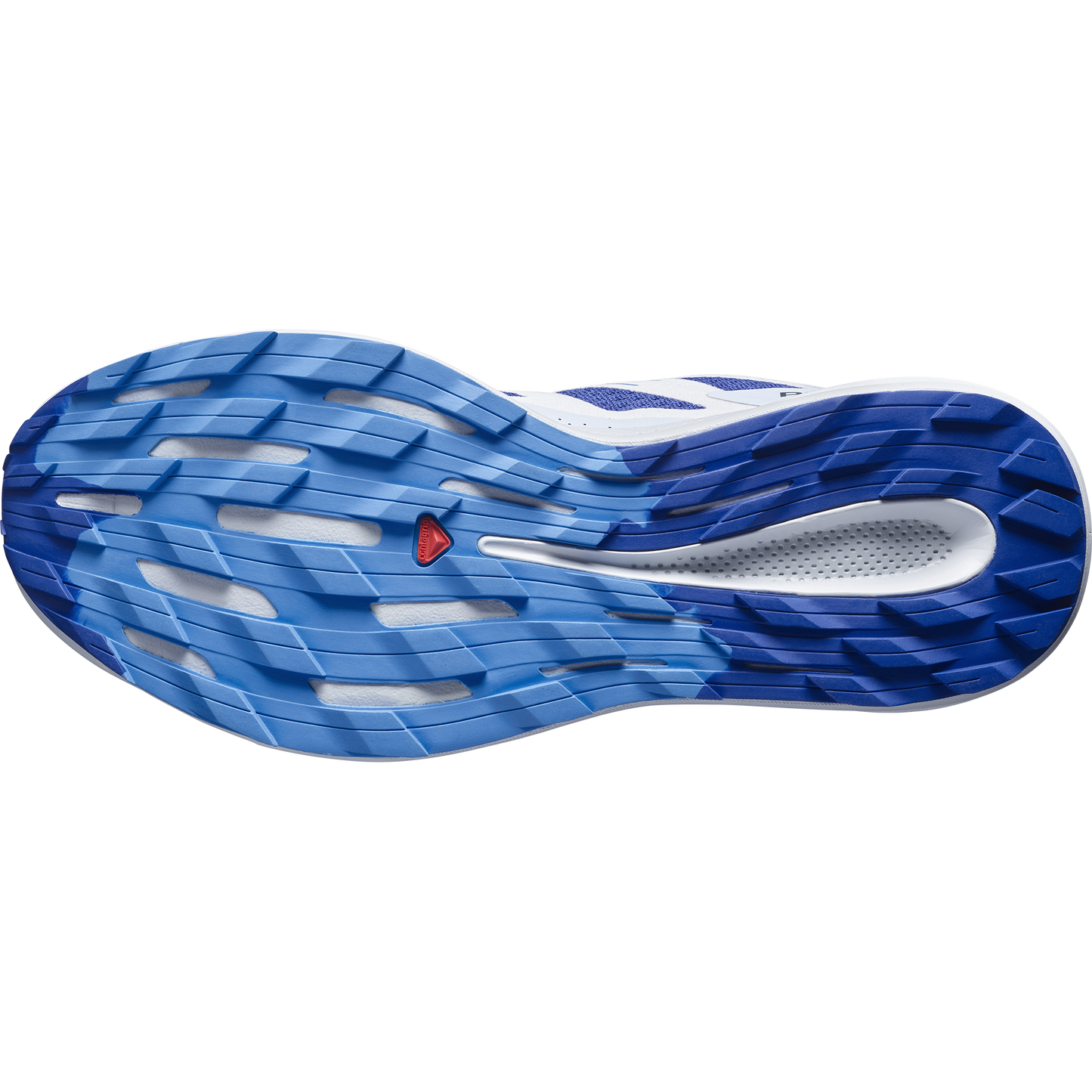 SALOMON PULSAR TRAIL (Sólo tienda online)