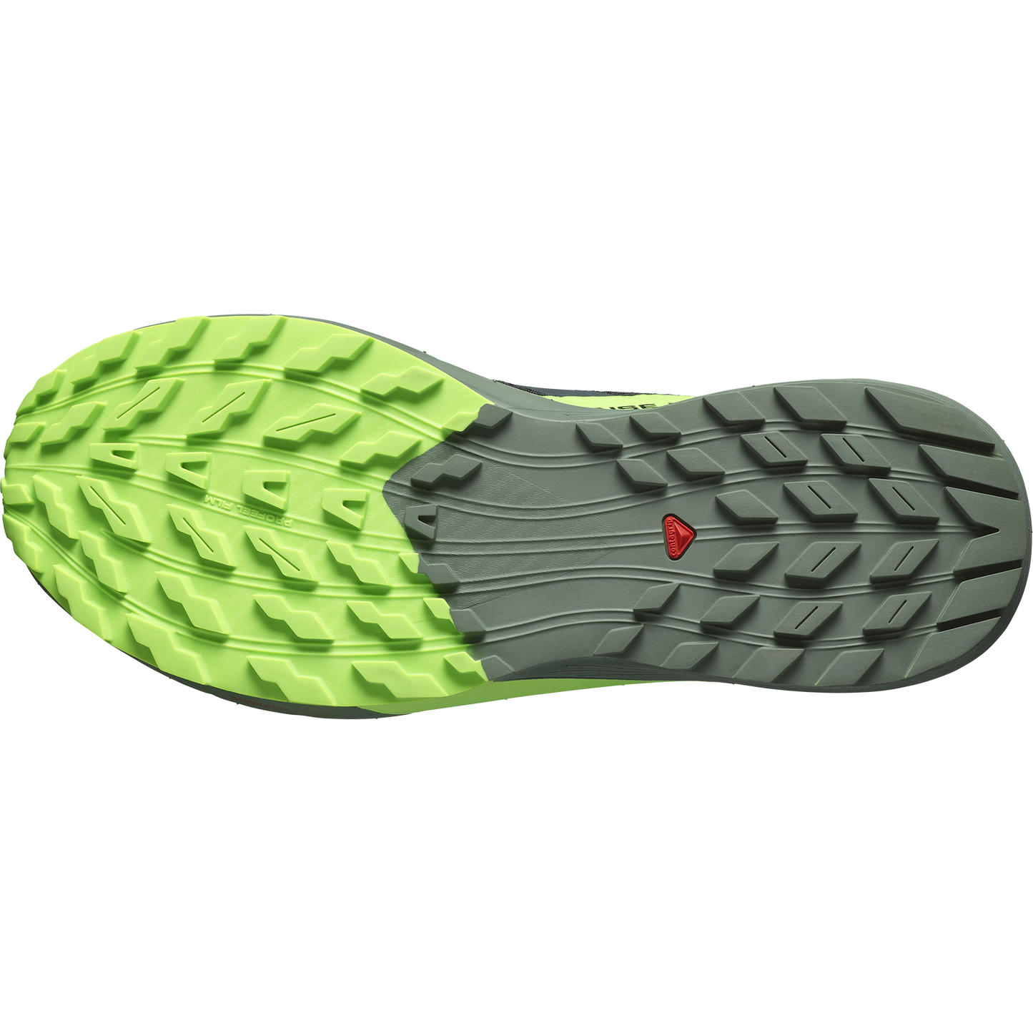 SALOMON SENSE RIDE 5 (Sólo tienda online)