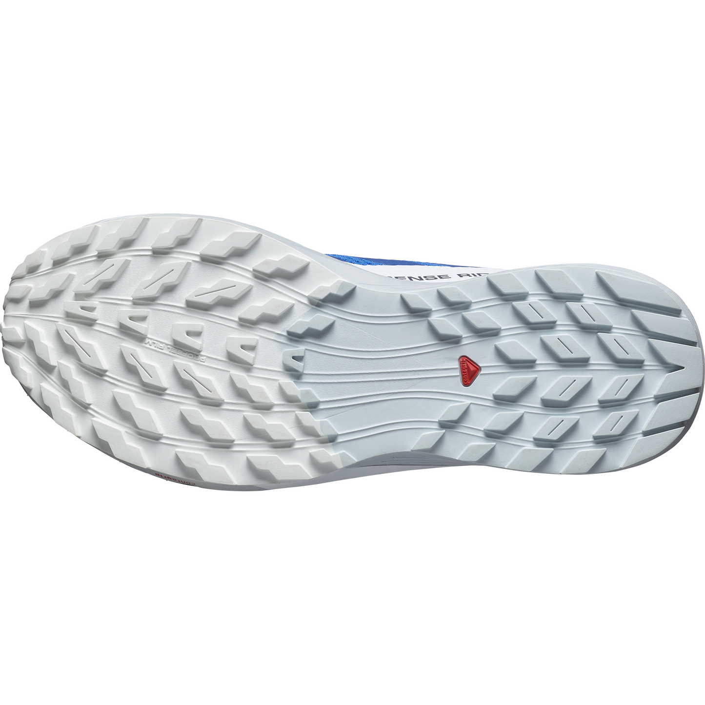 SALOMON SENSE RIDE 5 (Sólo tienda online)