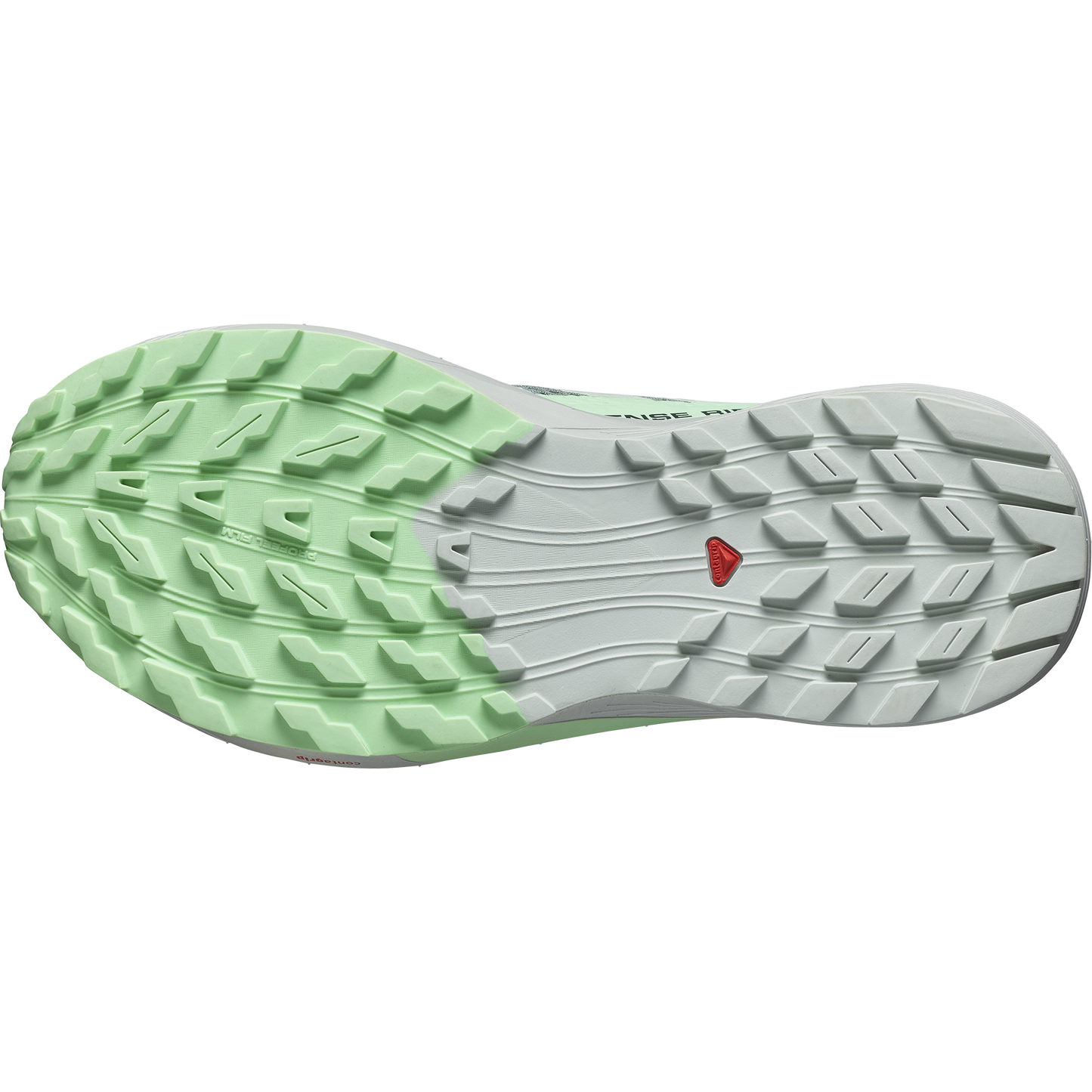 SALOMON SENSE RIDE 5 (Sólo tienda online)