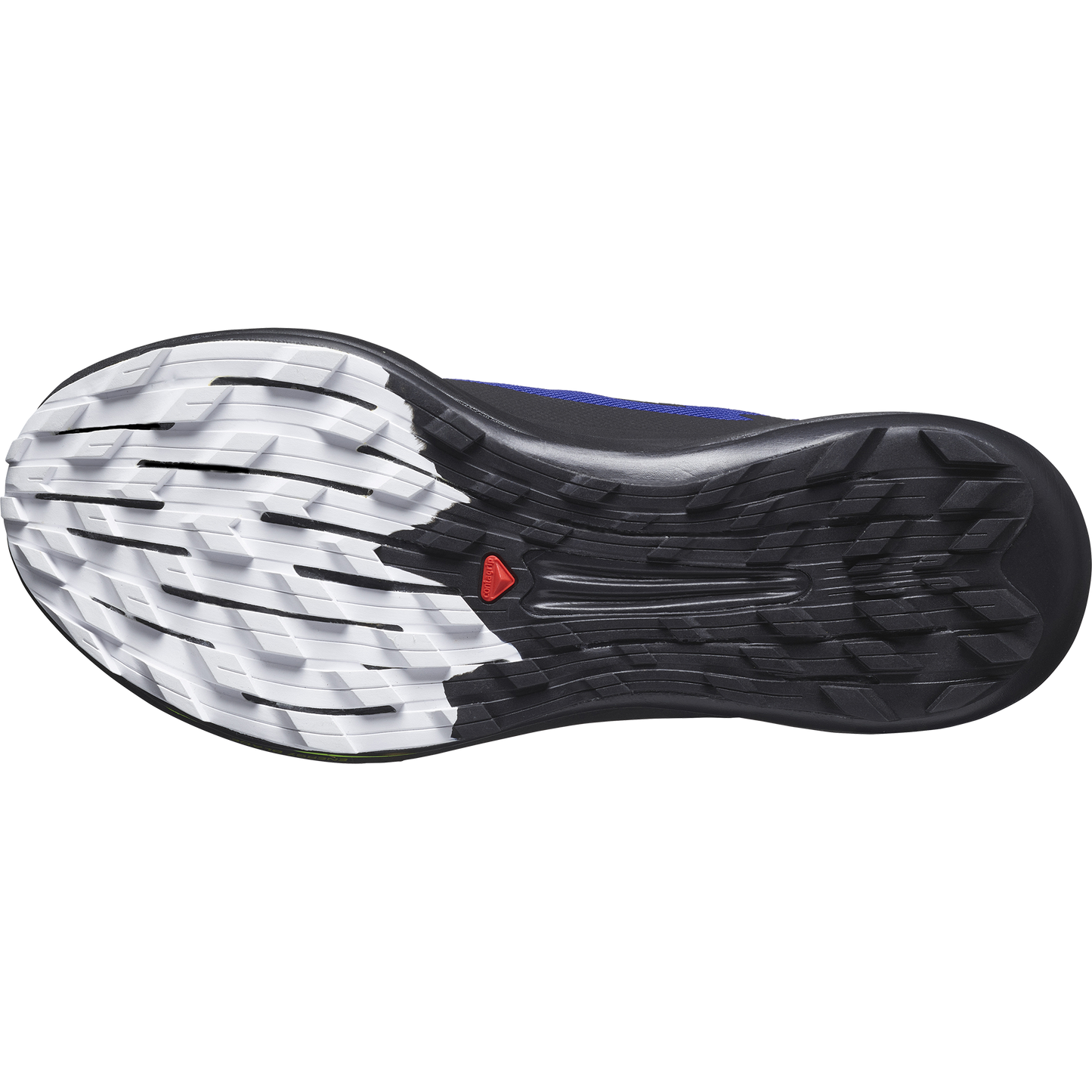 SALOMON PULSAR TRAIL PRO 2 (Sólo tienda online).