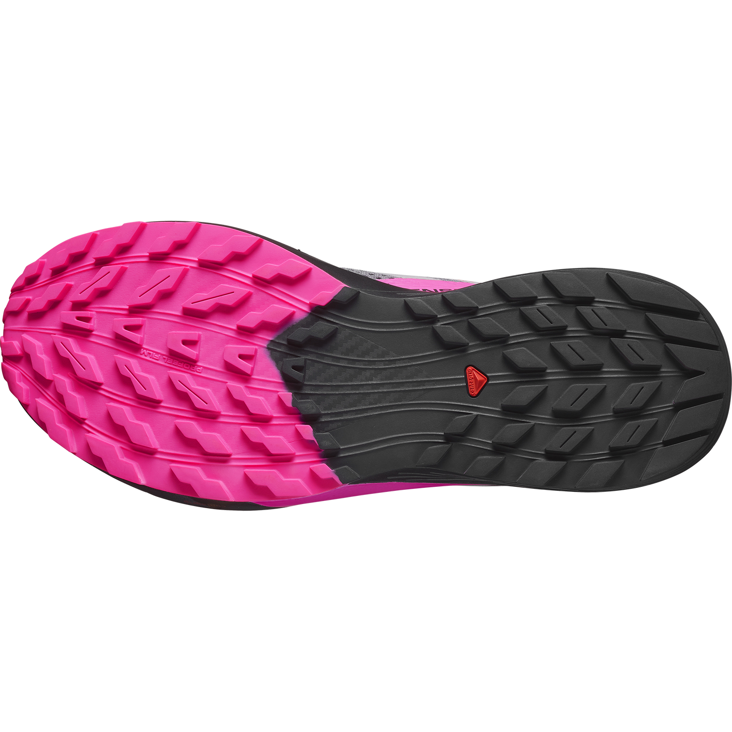 SALOMON SENSE RIDE 5 (Sólo tienda online)