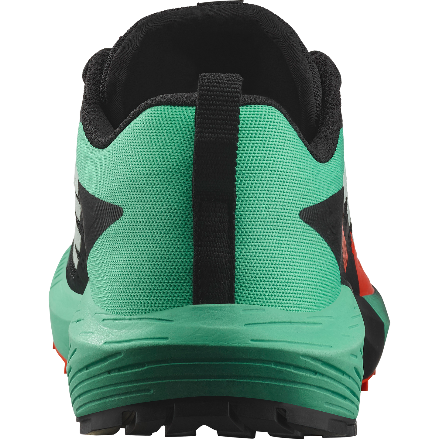 SALOMON SENSE RIDE 5 (Sólo tienda online).