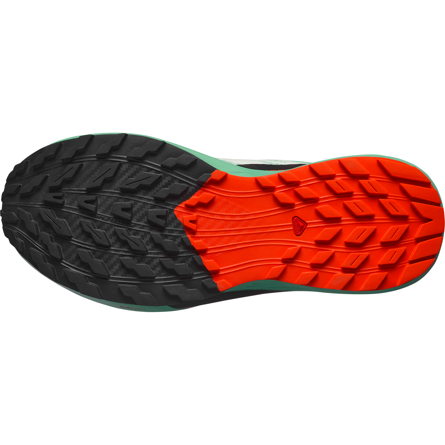 SALOMON SENSE RIDE 5 (Sólo tienda online).