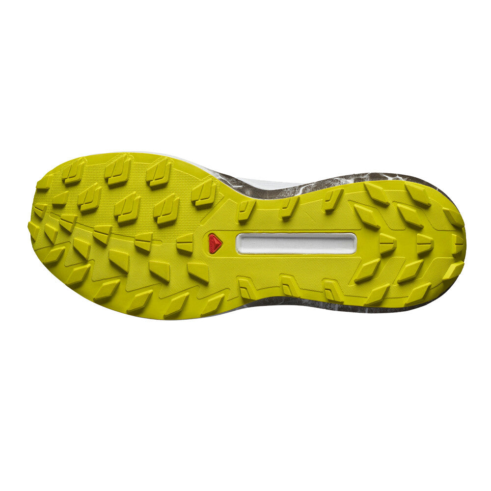 SALOMON S/LAB GENESIS LTD COURTNEY