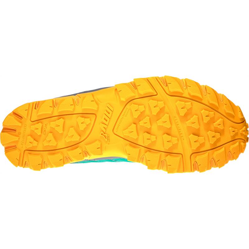 INOV8 TRAILTALON 290 (Sólo tienda online)