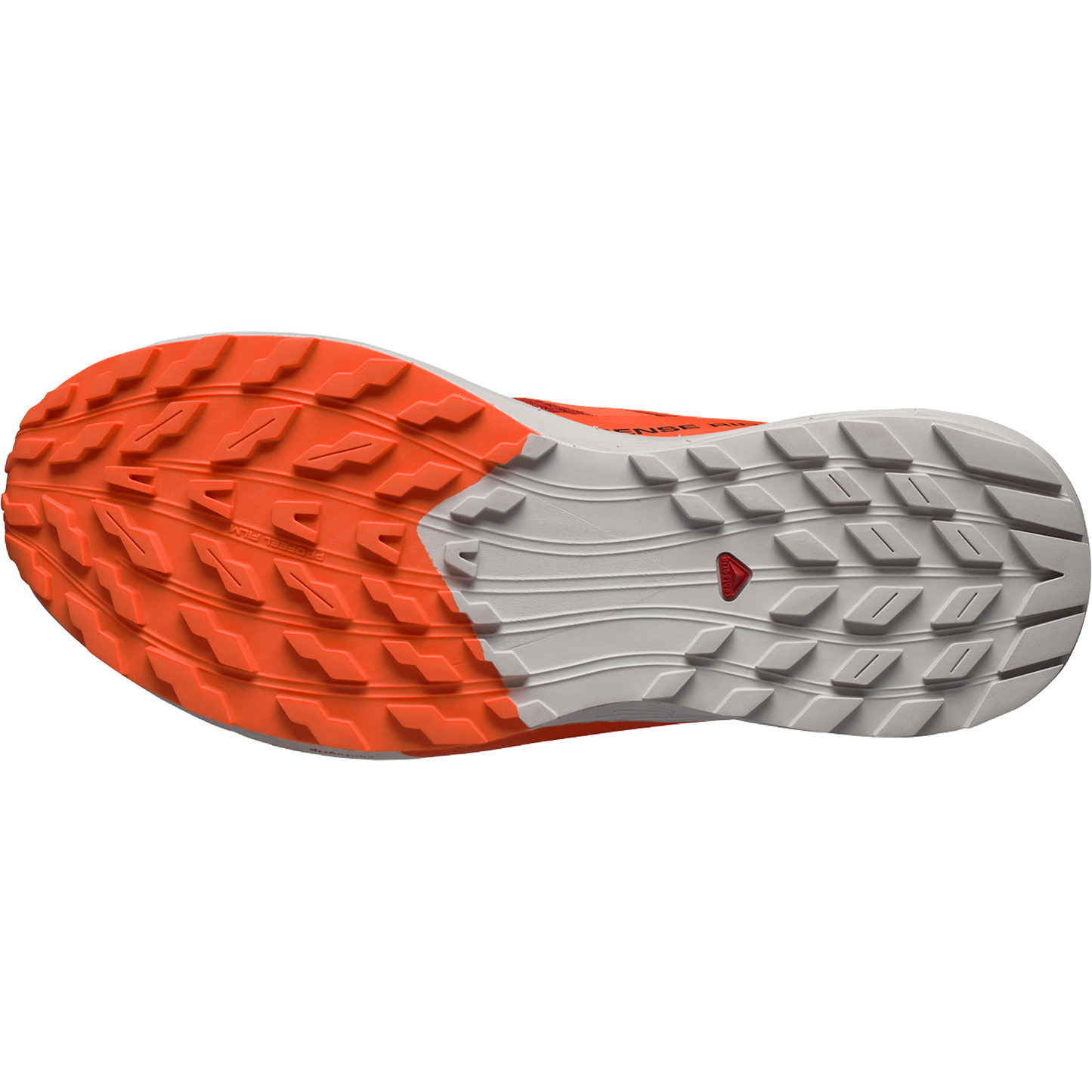 SALOMON SENSE RIDE 5 (Sólo tienda online)
