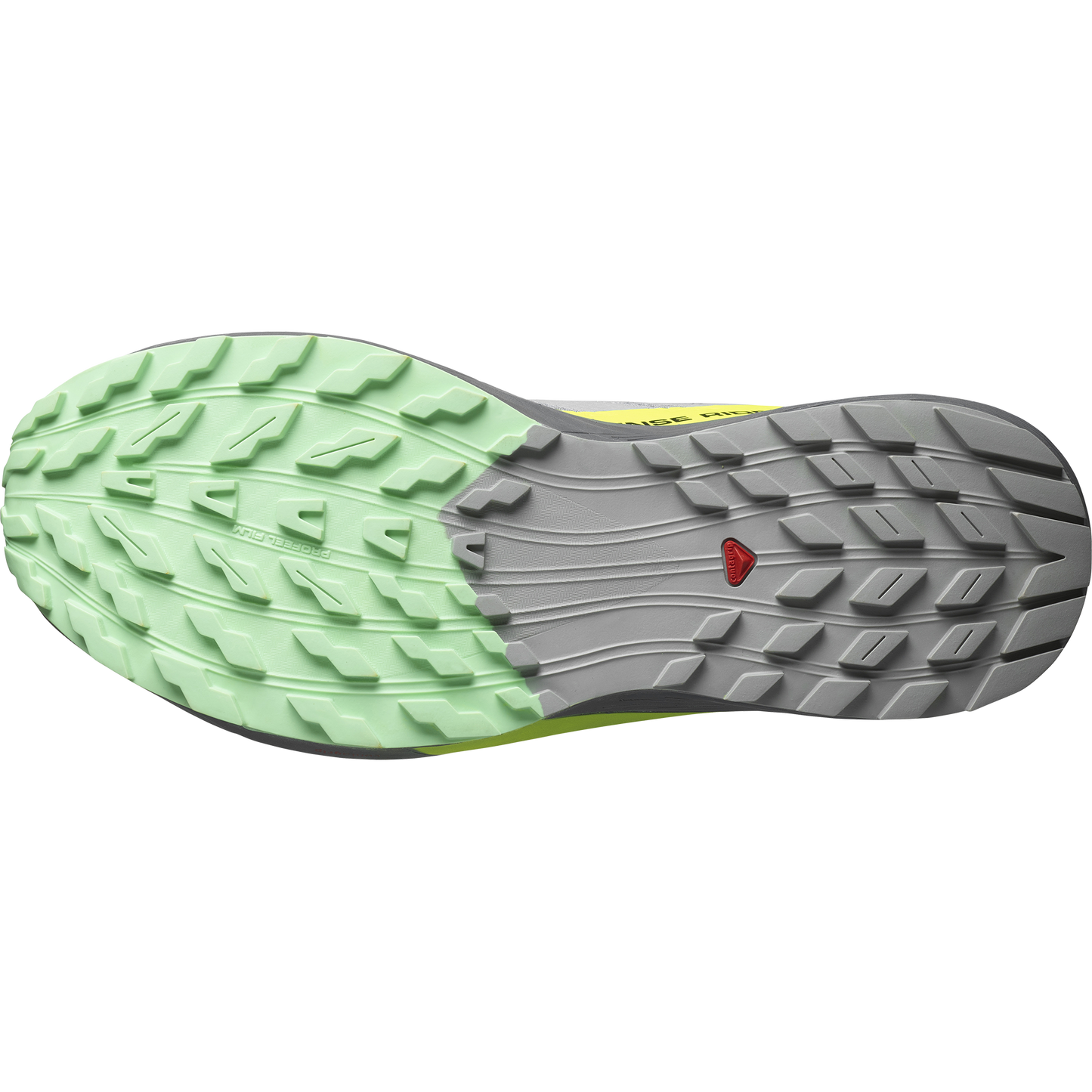 SALOMON SENSE RIDE 5 (Sólo tienda online)