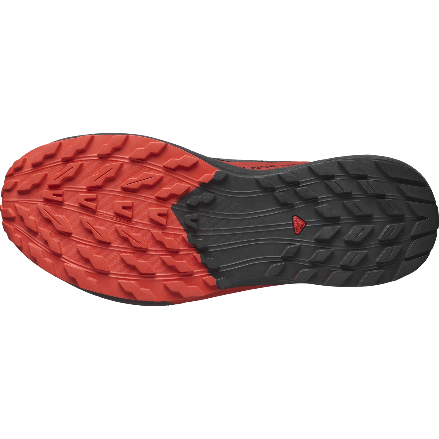 SALOMON SENSE RIDE 5 (Sólo tienda online)