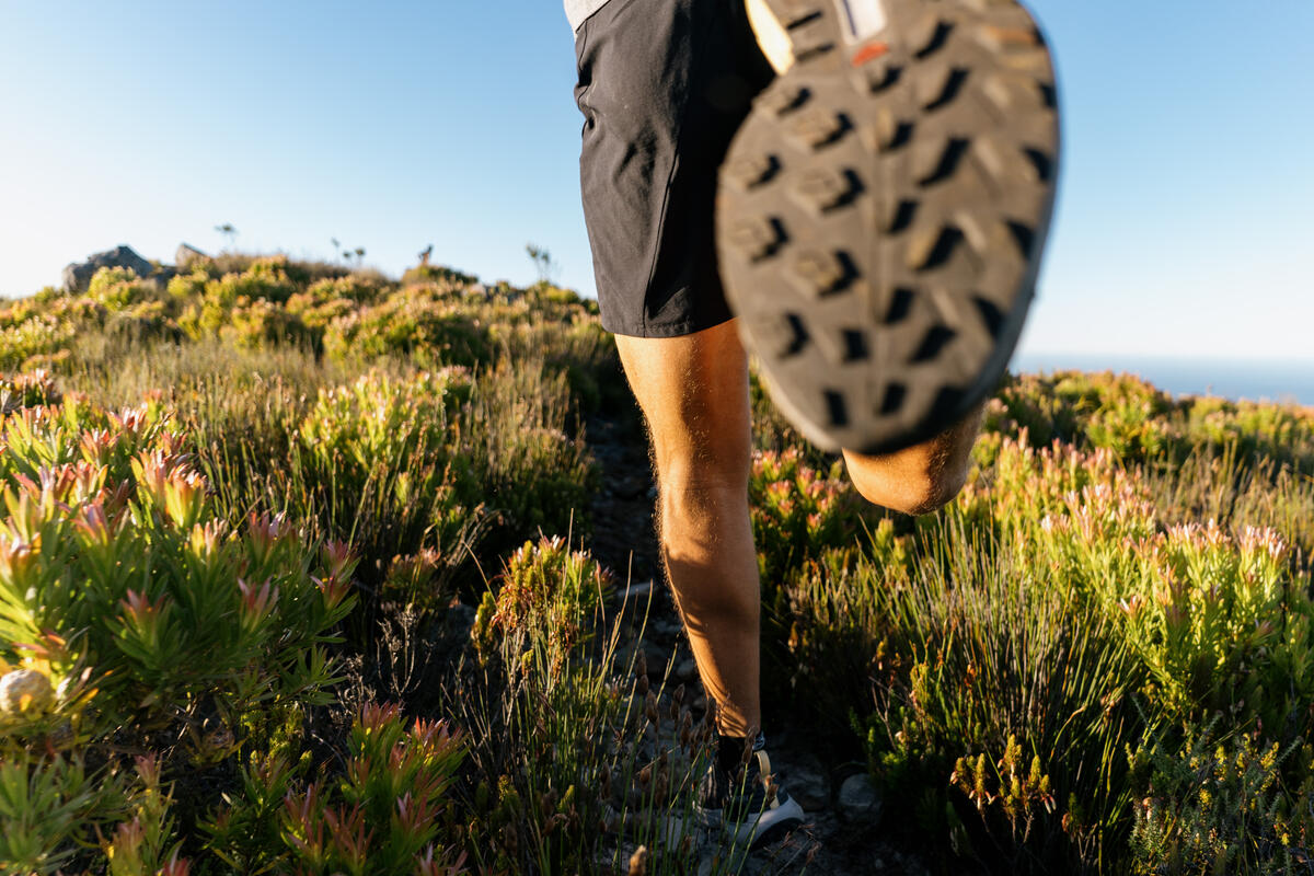 SALOMON S/LAB GENESIS