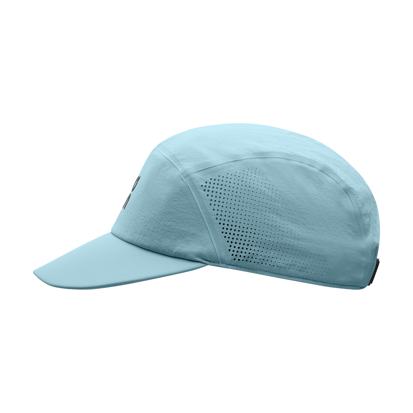 ON PERFORMANCE CAP