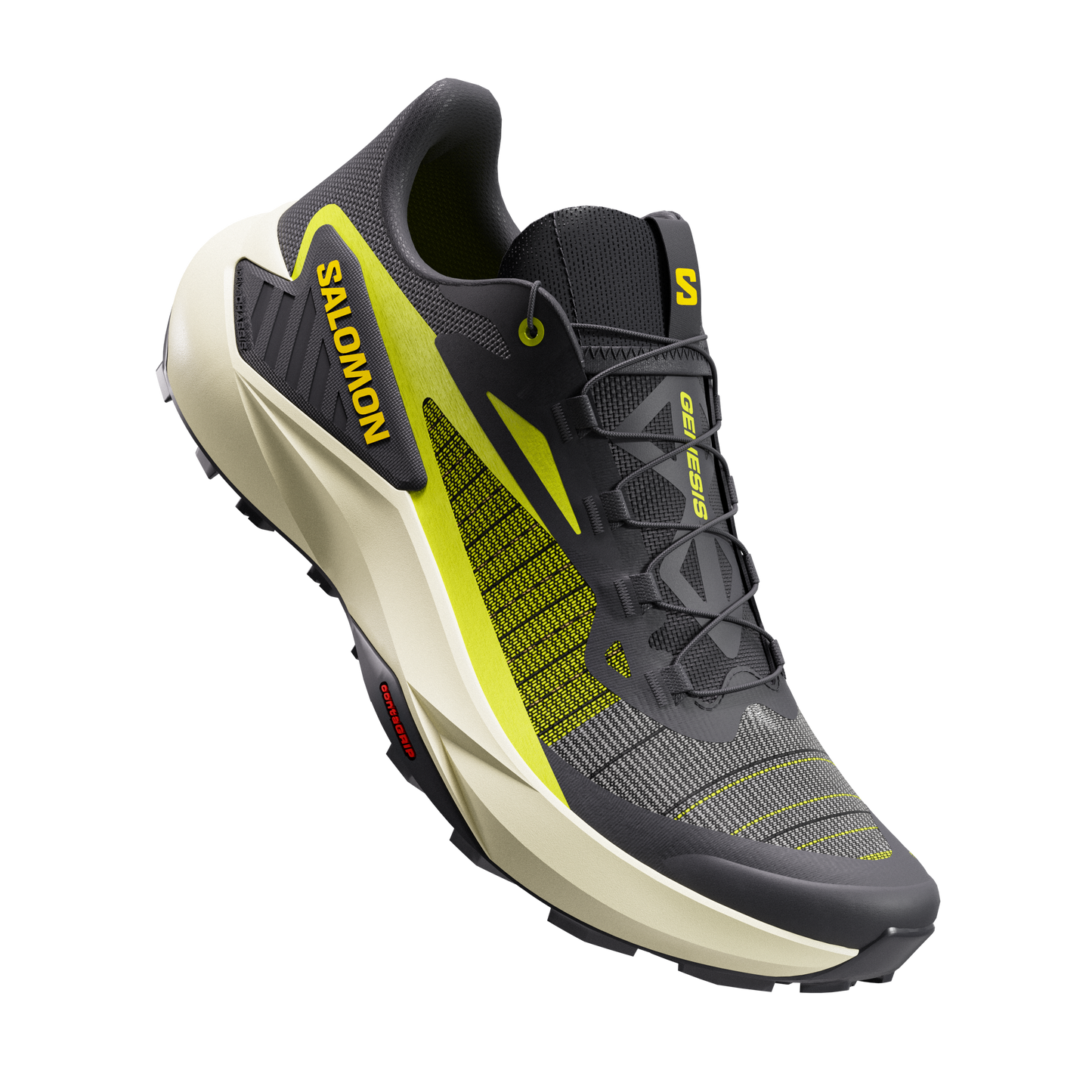 SALOMON GENESIS