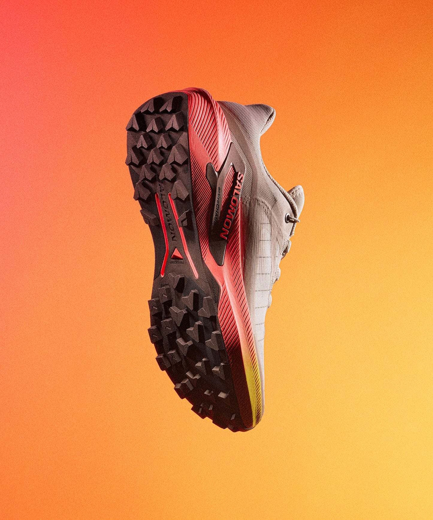 SALOMON GENESIS 2