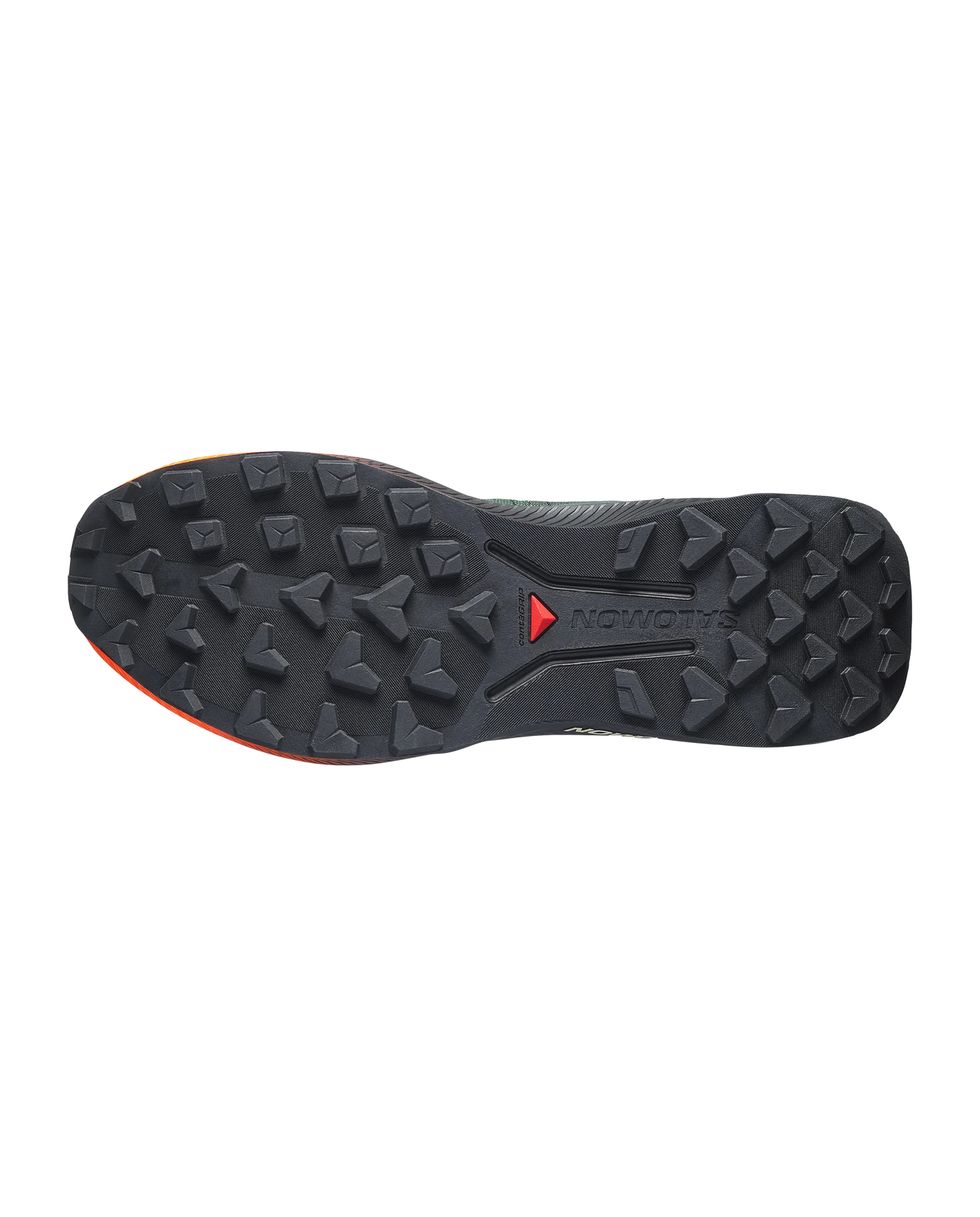 SALOMON GENESIS 2