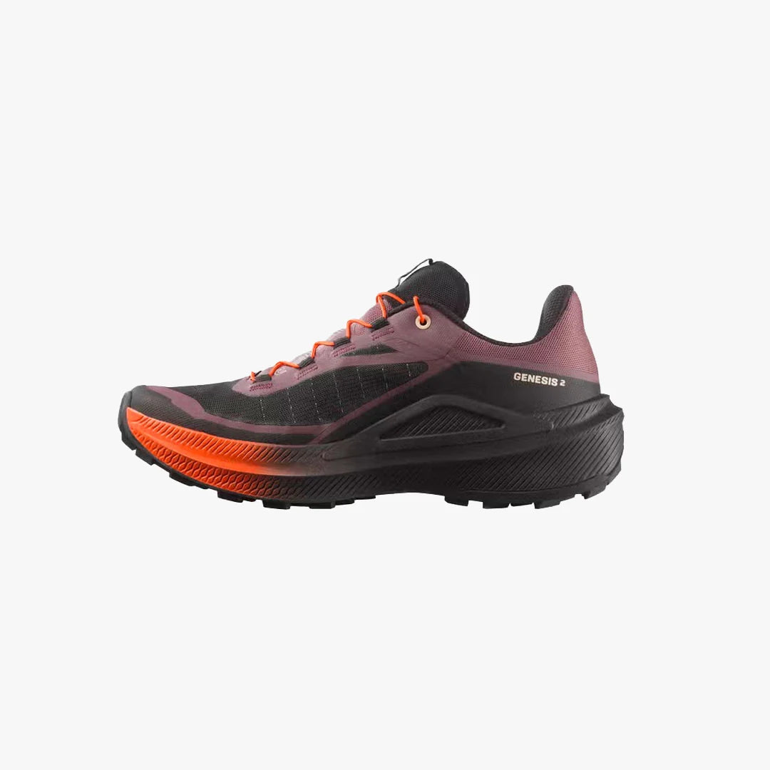 SALOMON GENESIS 2 W
