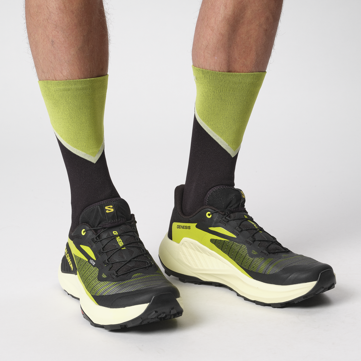 SALOMON GENESIS