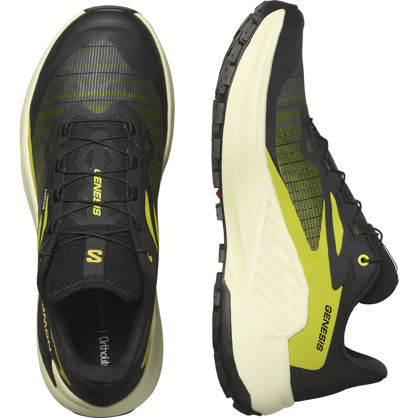 SALOMON GENESIS