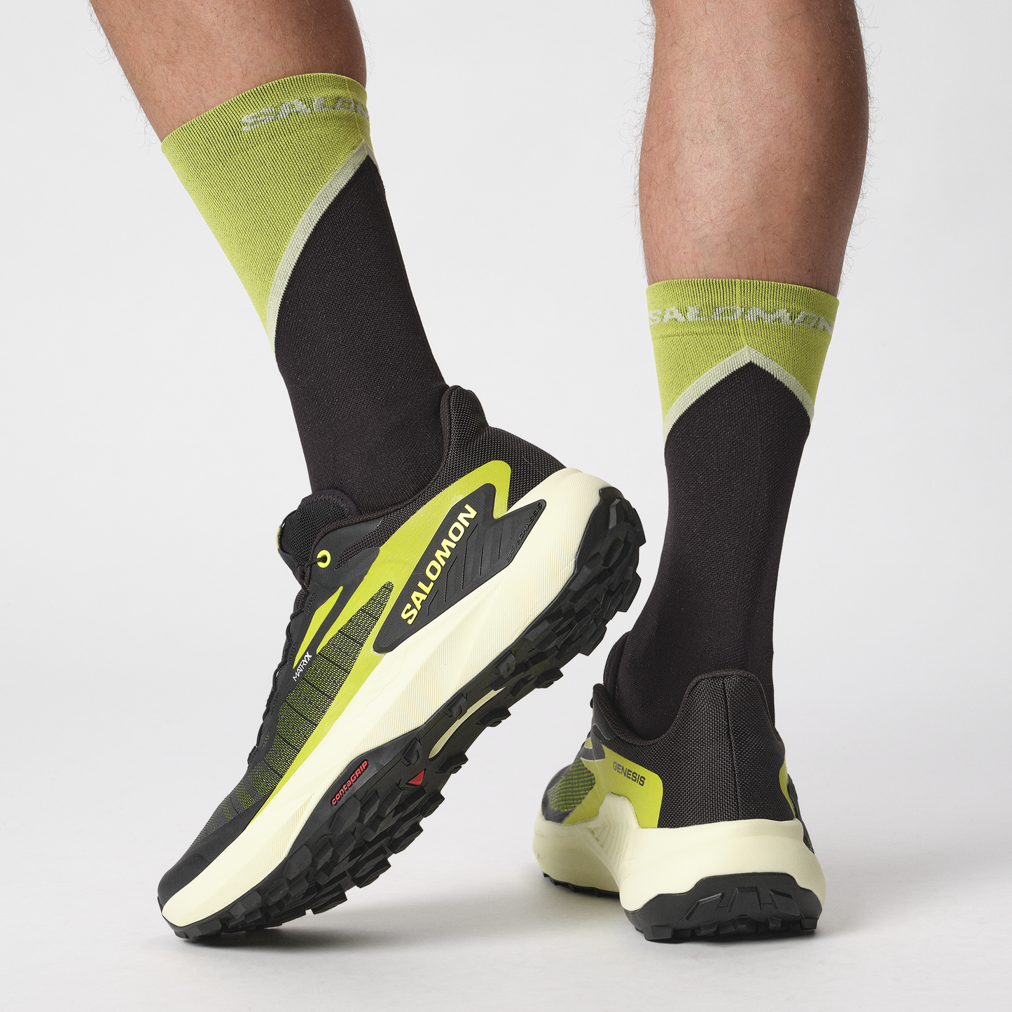 SALOMON GENESIS