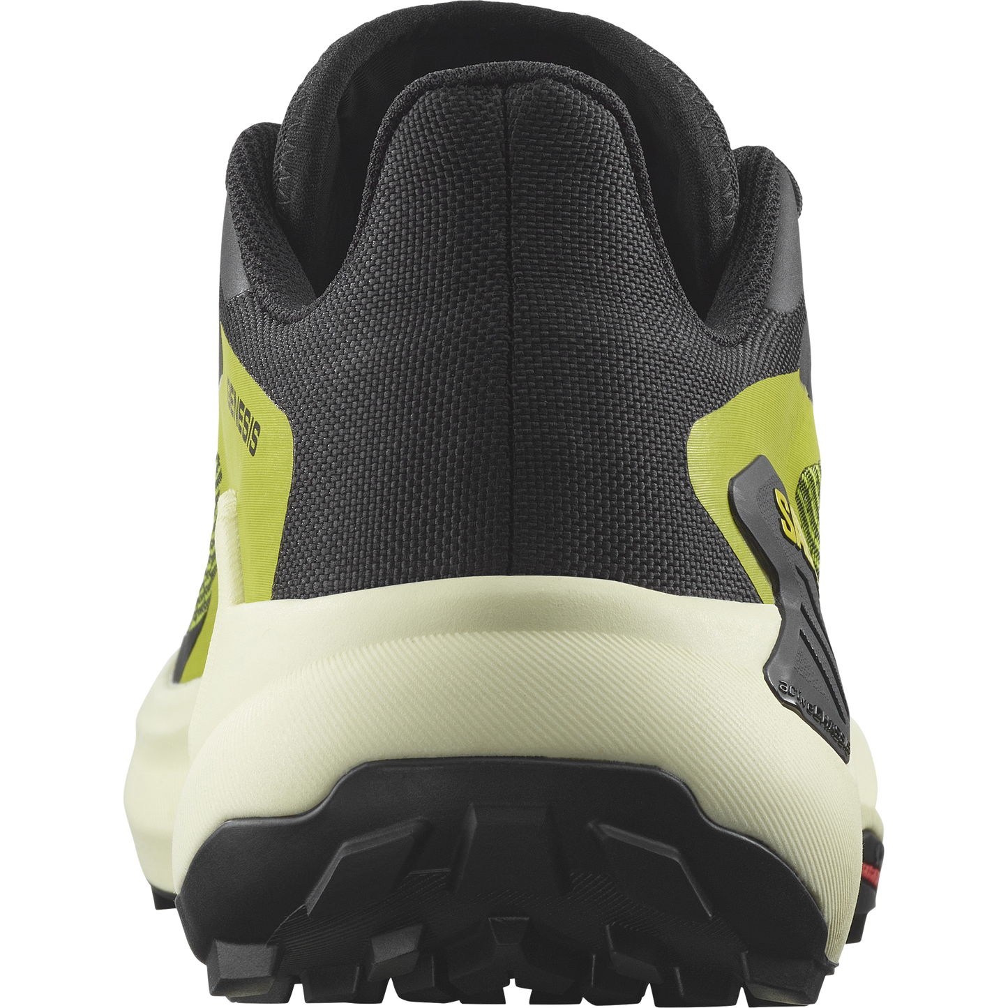 SALOMON GENESIS