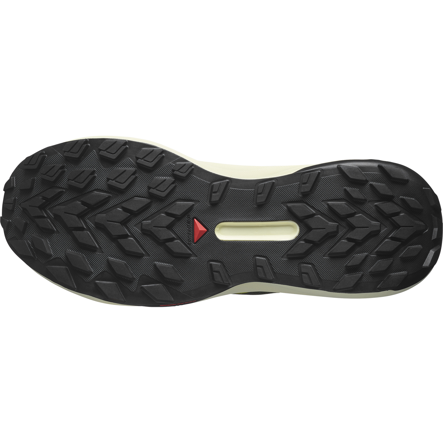 SALOMON GENESIS