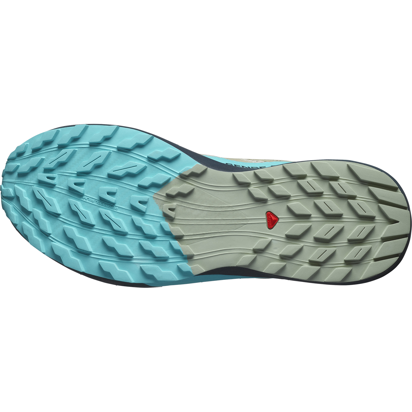 SALOMON SENSE RIDE 5 (Sólo tienda online)