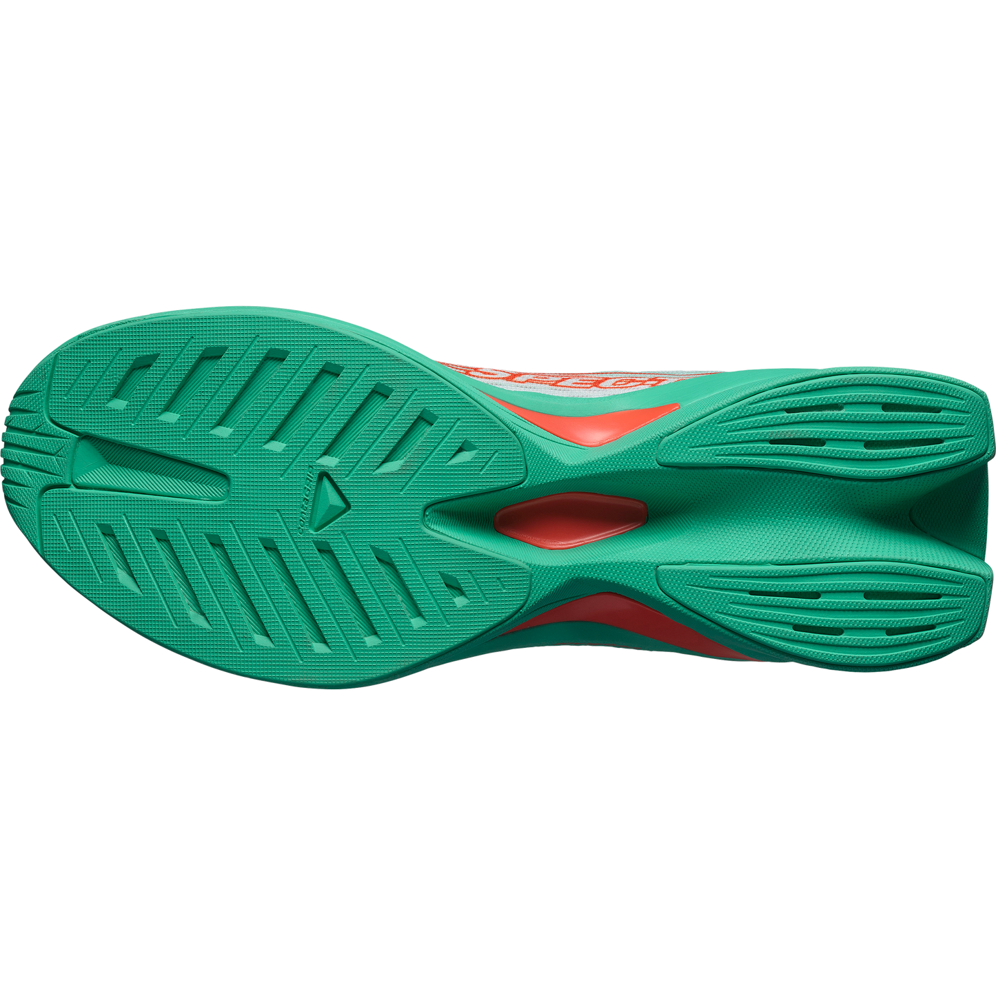 SALOMON SPECTUR 2