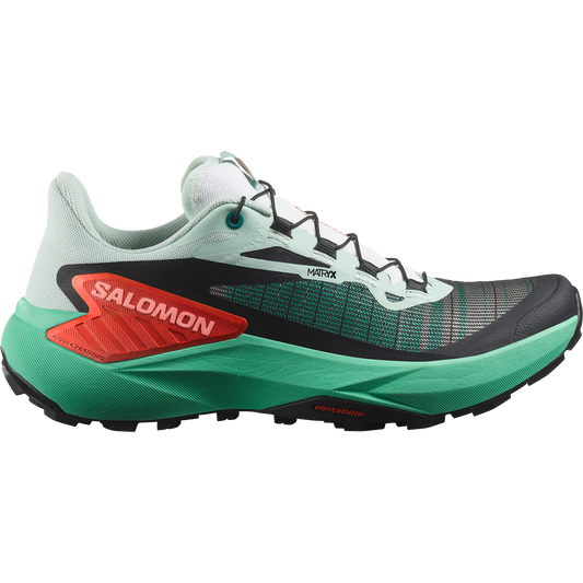 SALOMON GENESIS