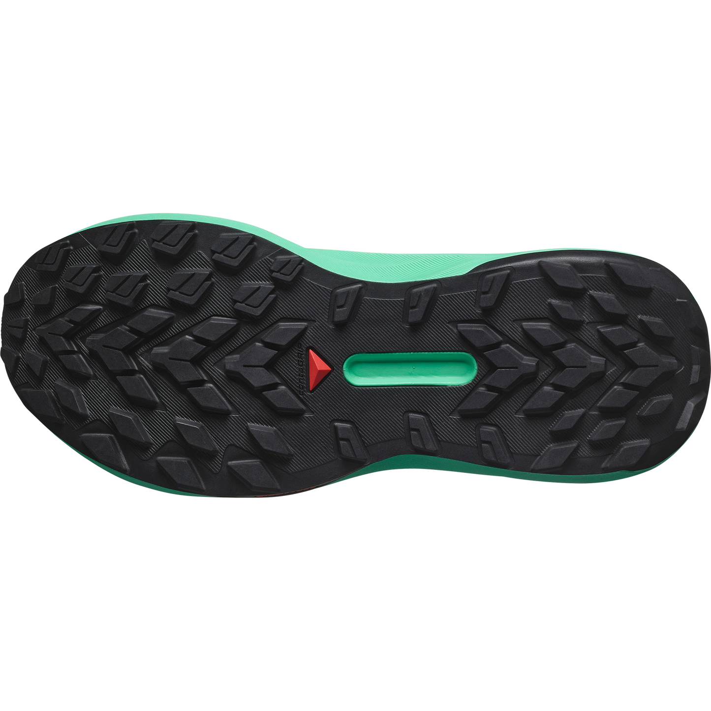 SALOMON GENESIS