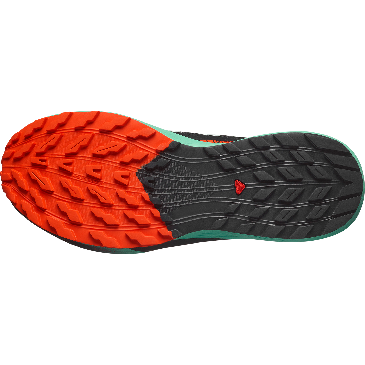 SALOMON SENSE RIDE 5 (Sólo tienda online).