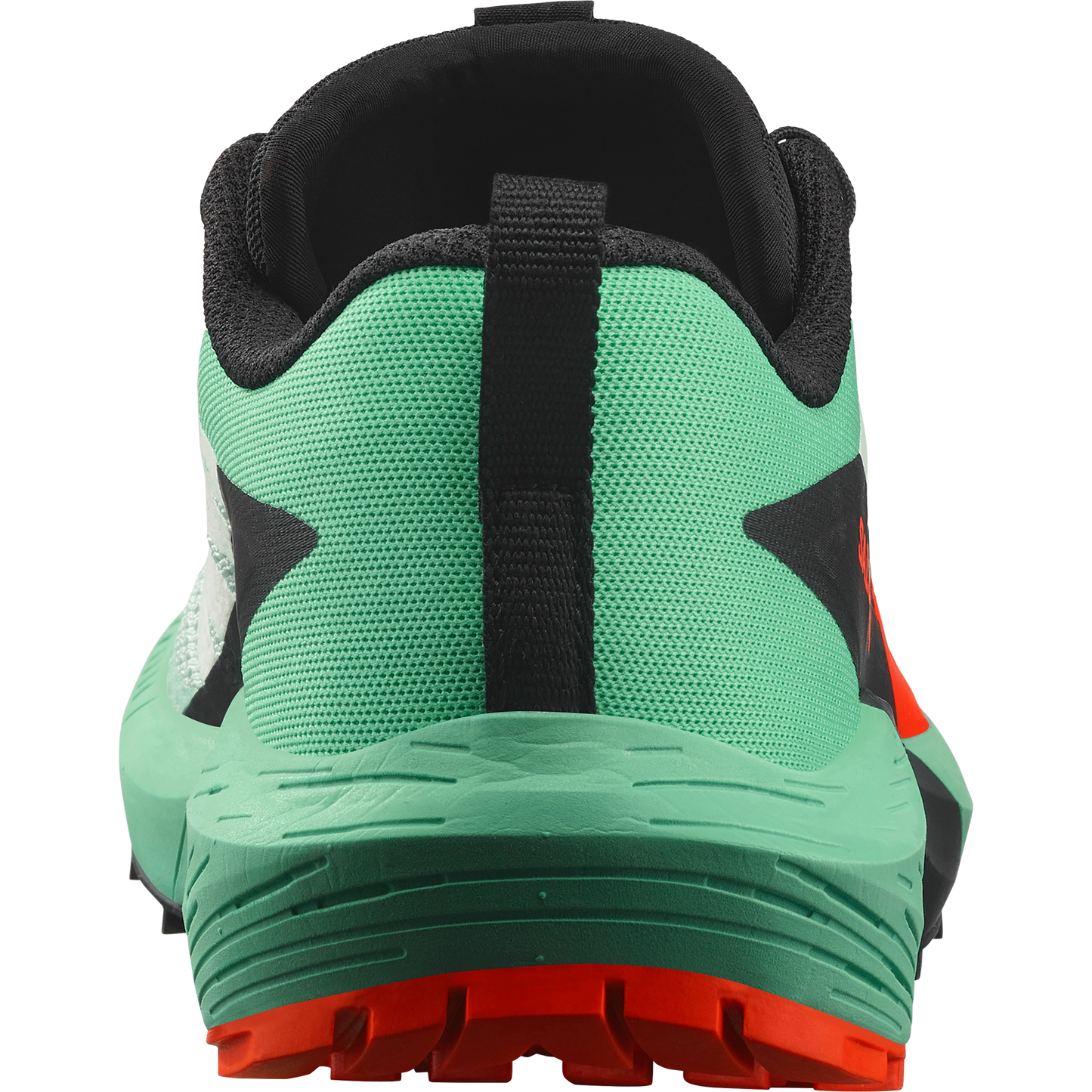 SALOMON SENSE RIDE 5 (Sólo tienda online).
