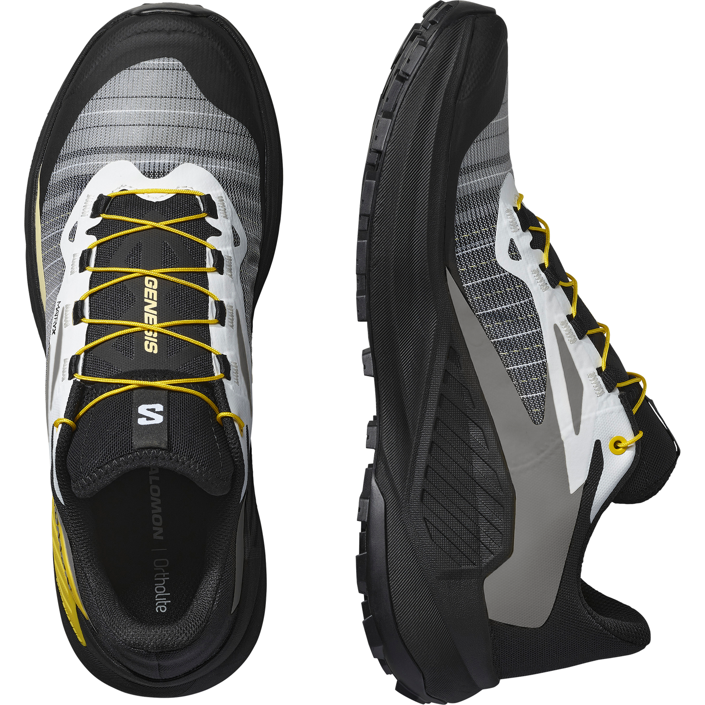 SALOMON GENESIS
