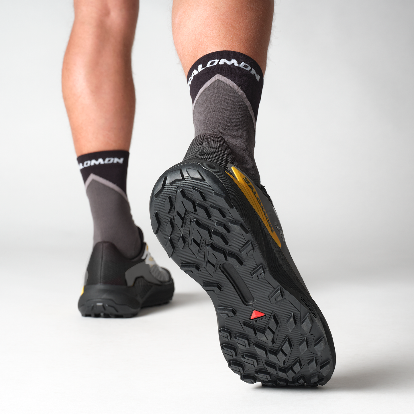 SALOMON GENESIS