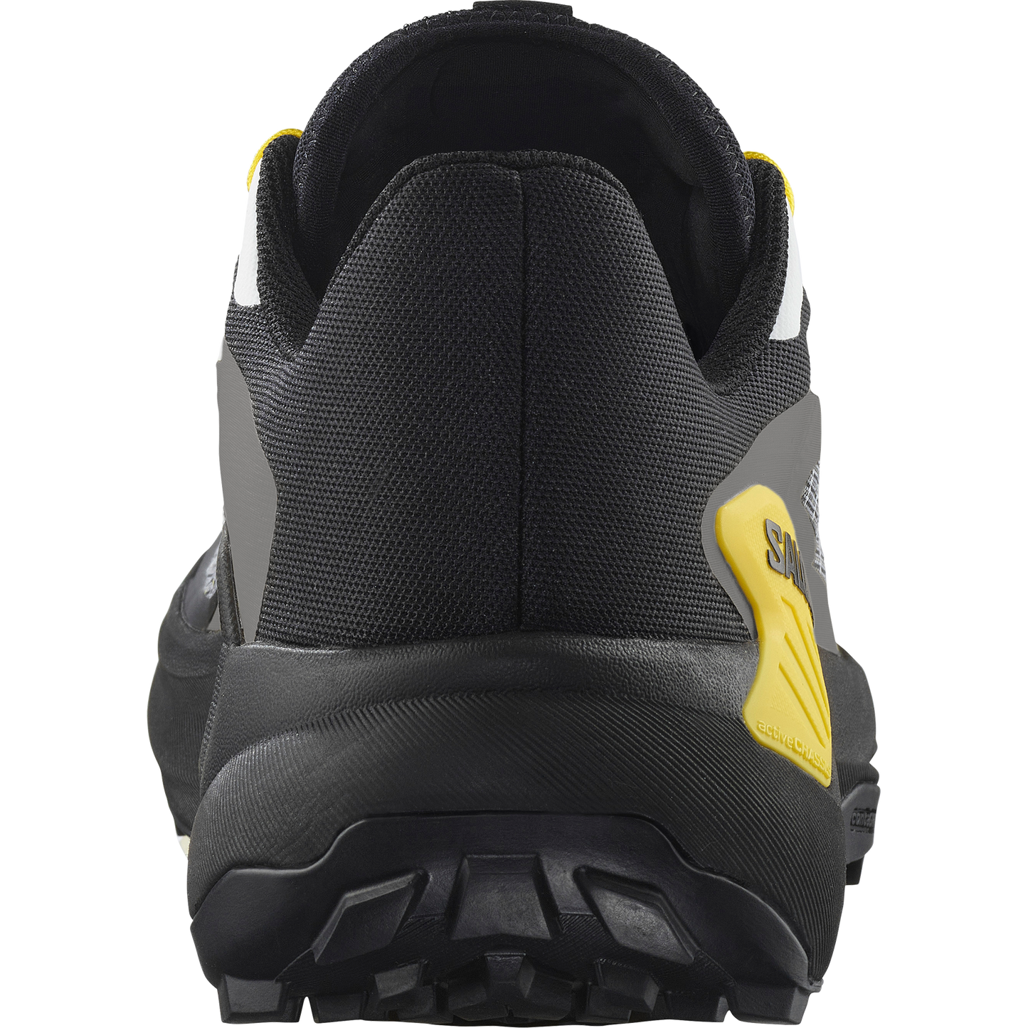 SALOMON GENESIS