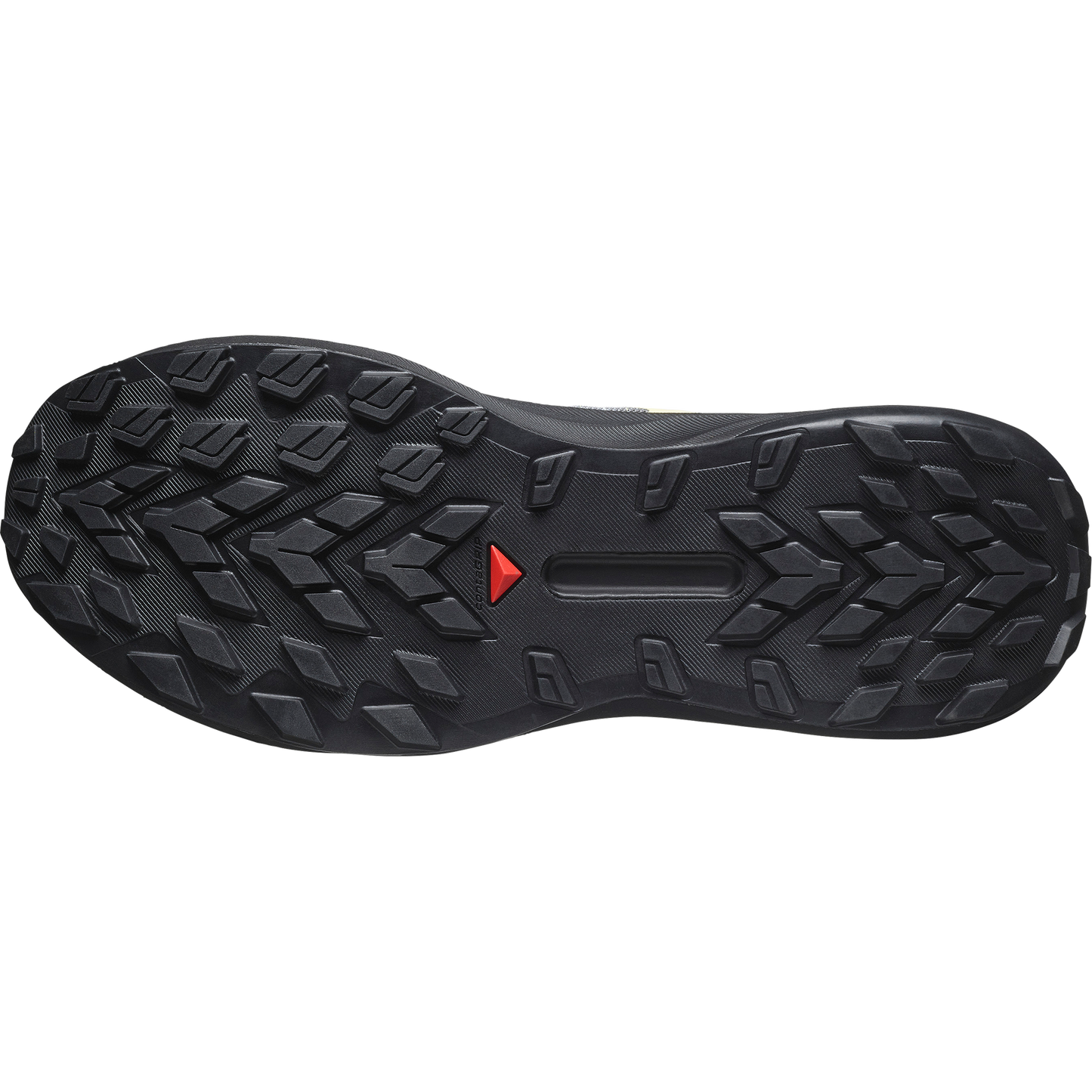 SALOMON GENESIS