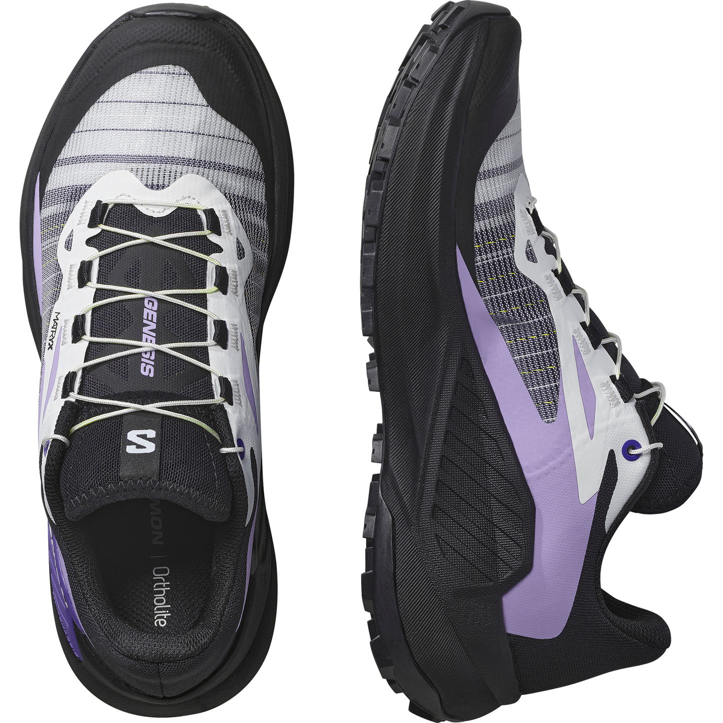 SALOMON GENESIS