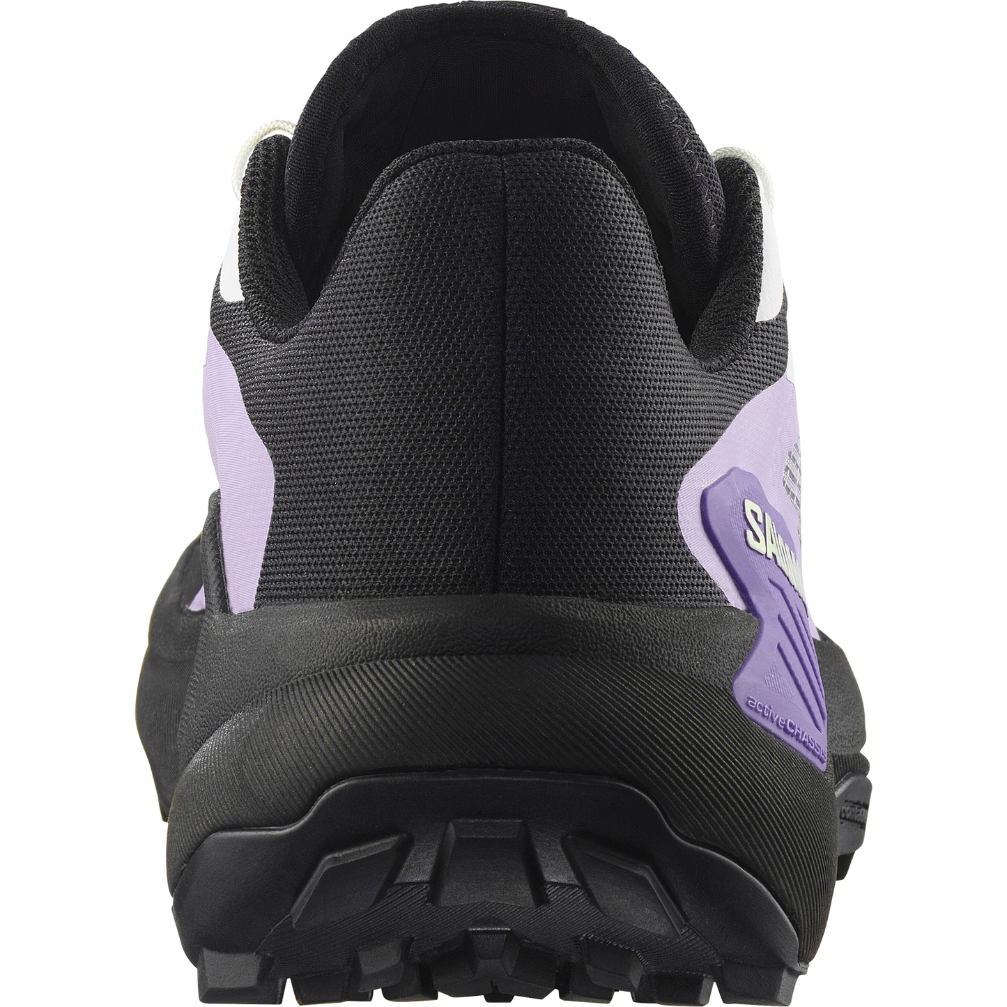 SALOMON GENESIS