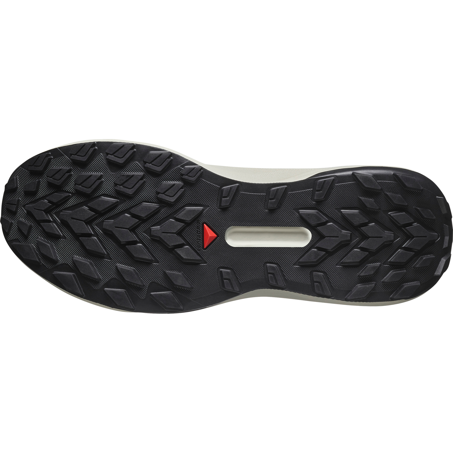 SALOMON GENESIS