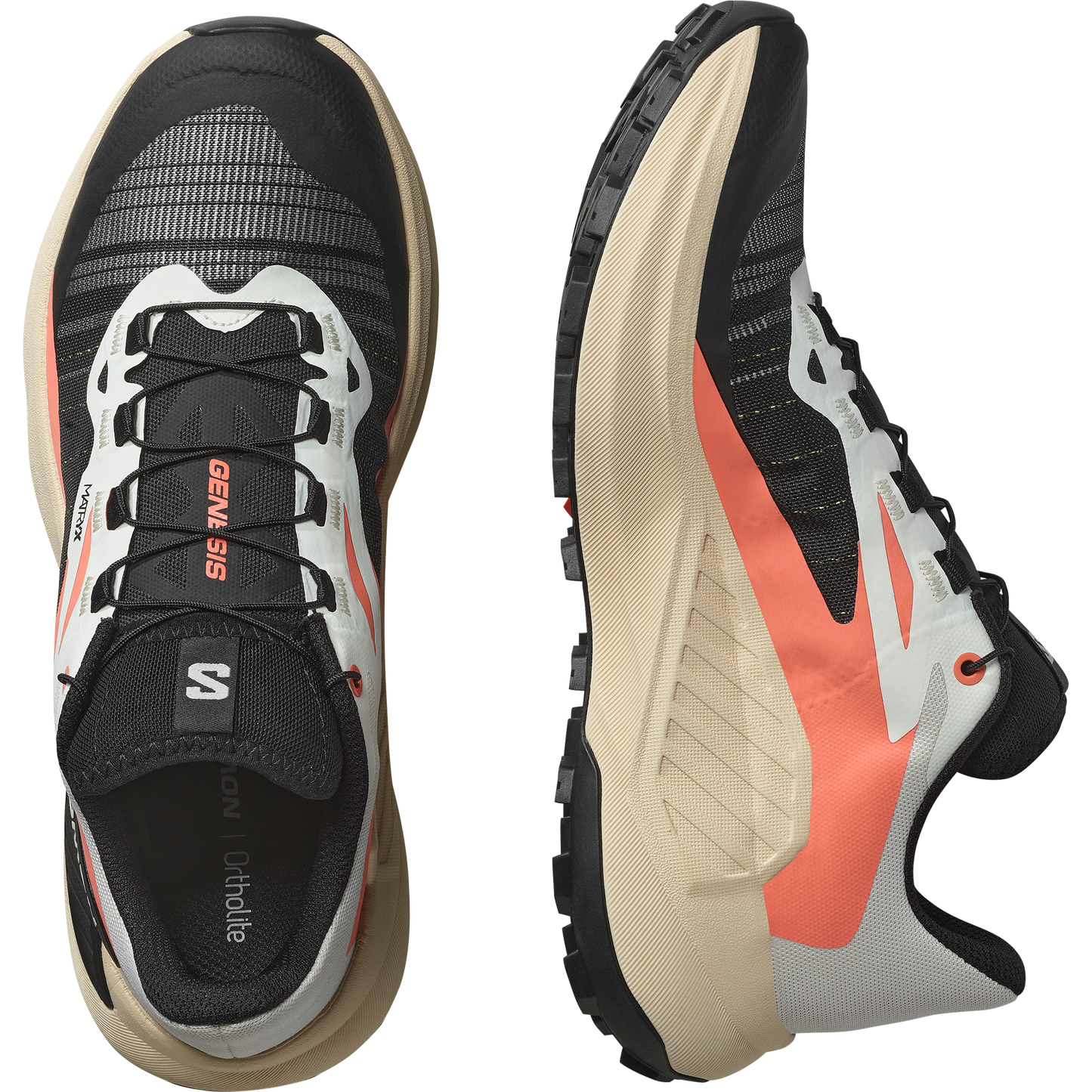 SALOMON GENESIS