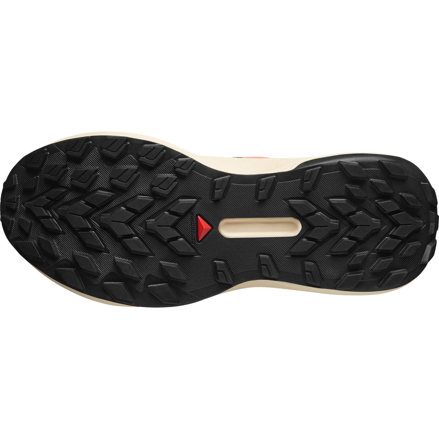 SALOMON GENESIS