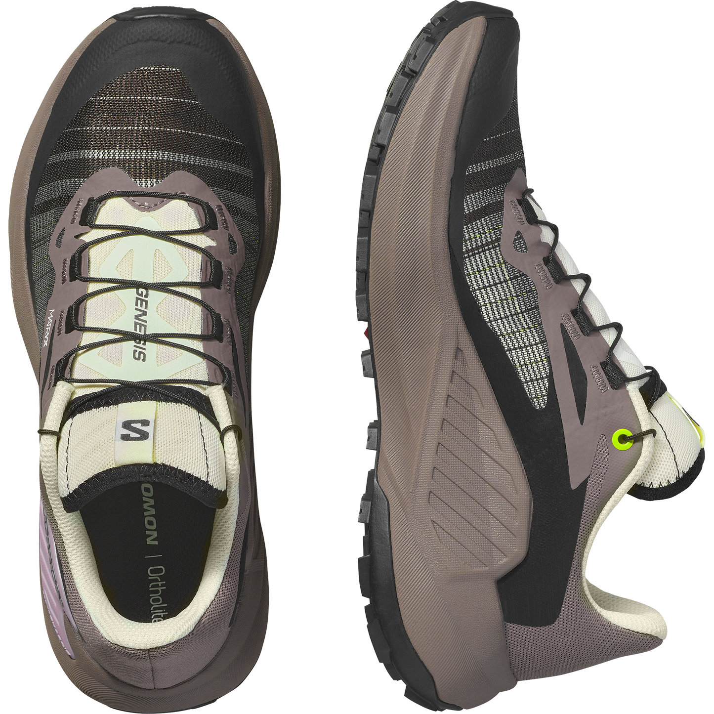 SALOMON GENESIS