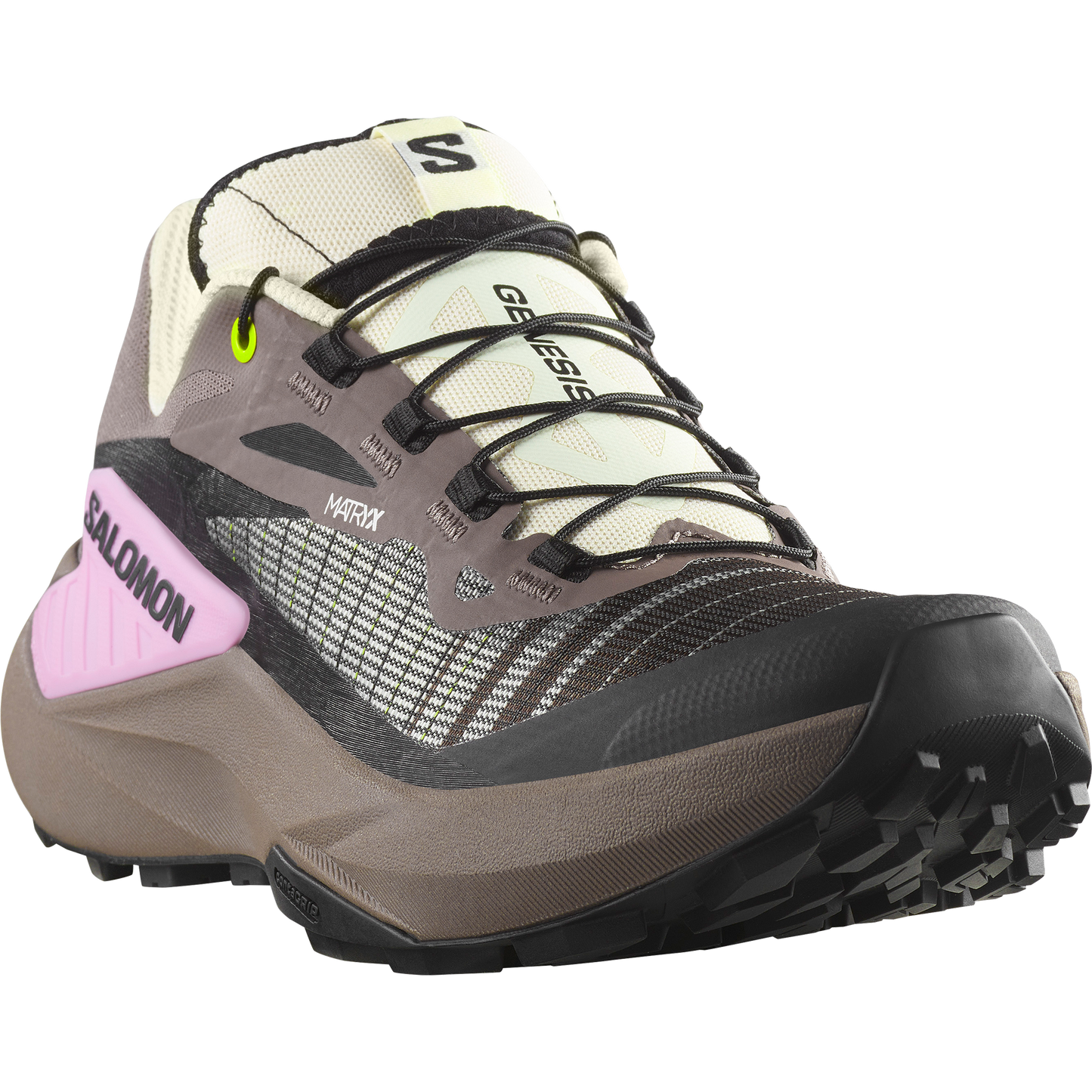 SALOMON GENESIS