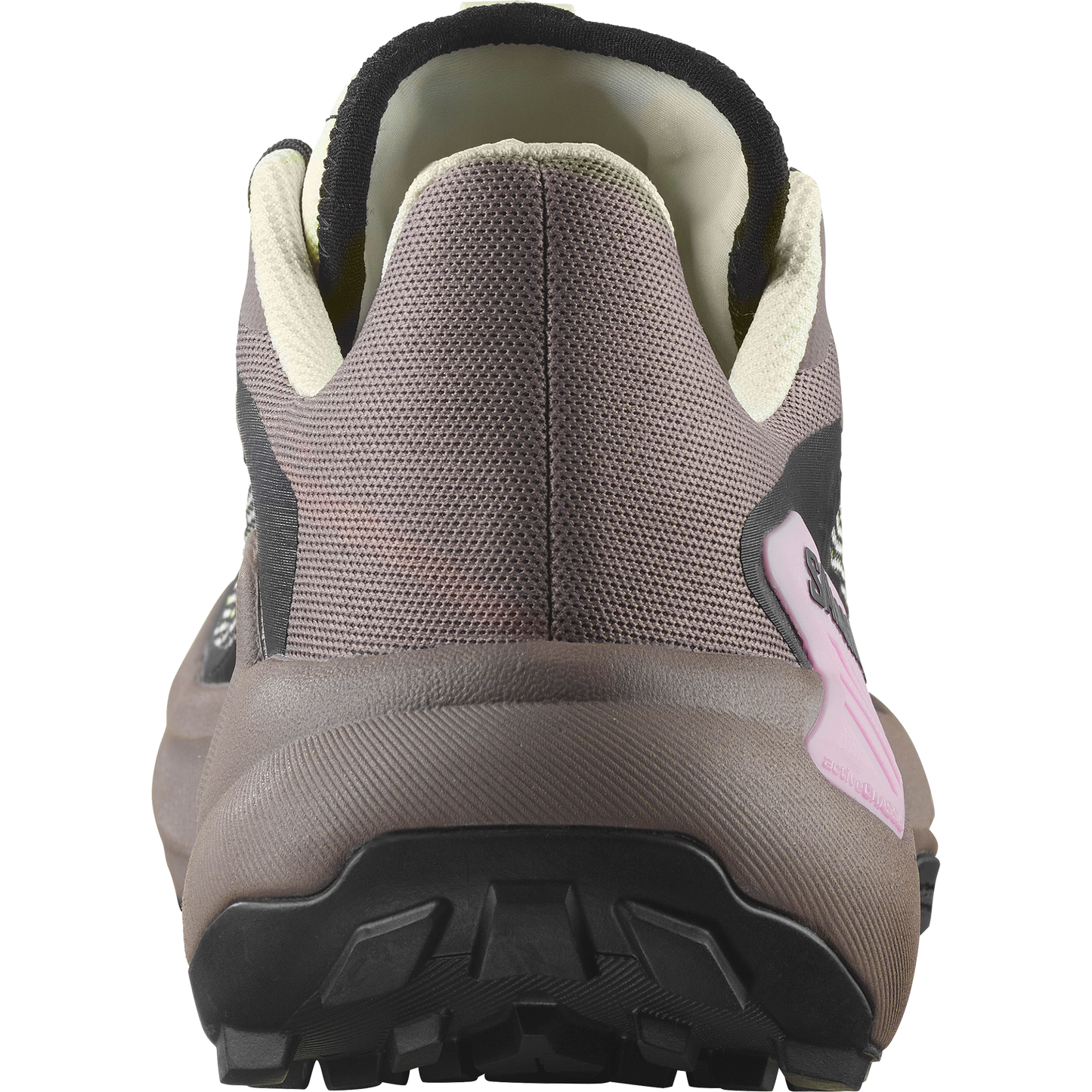 SALOMON GENESIS