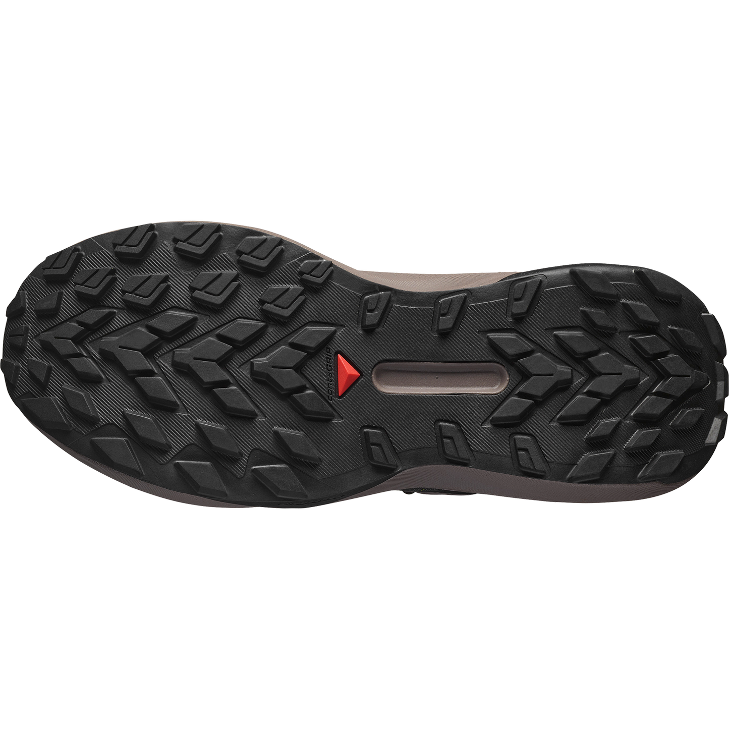 SALOMON GENESIS