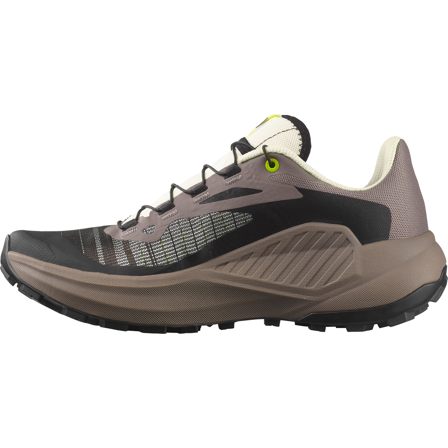 SALOMON GENESIS