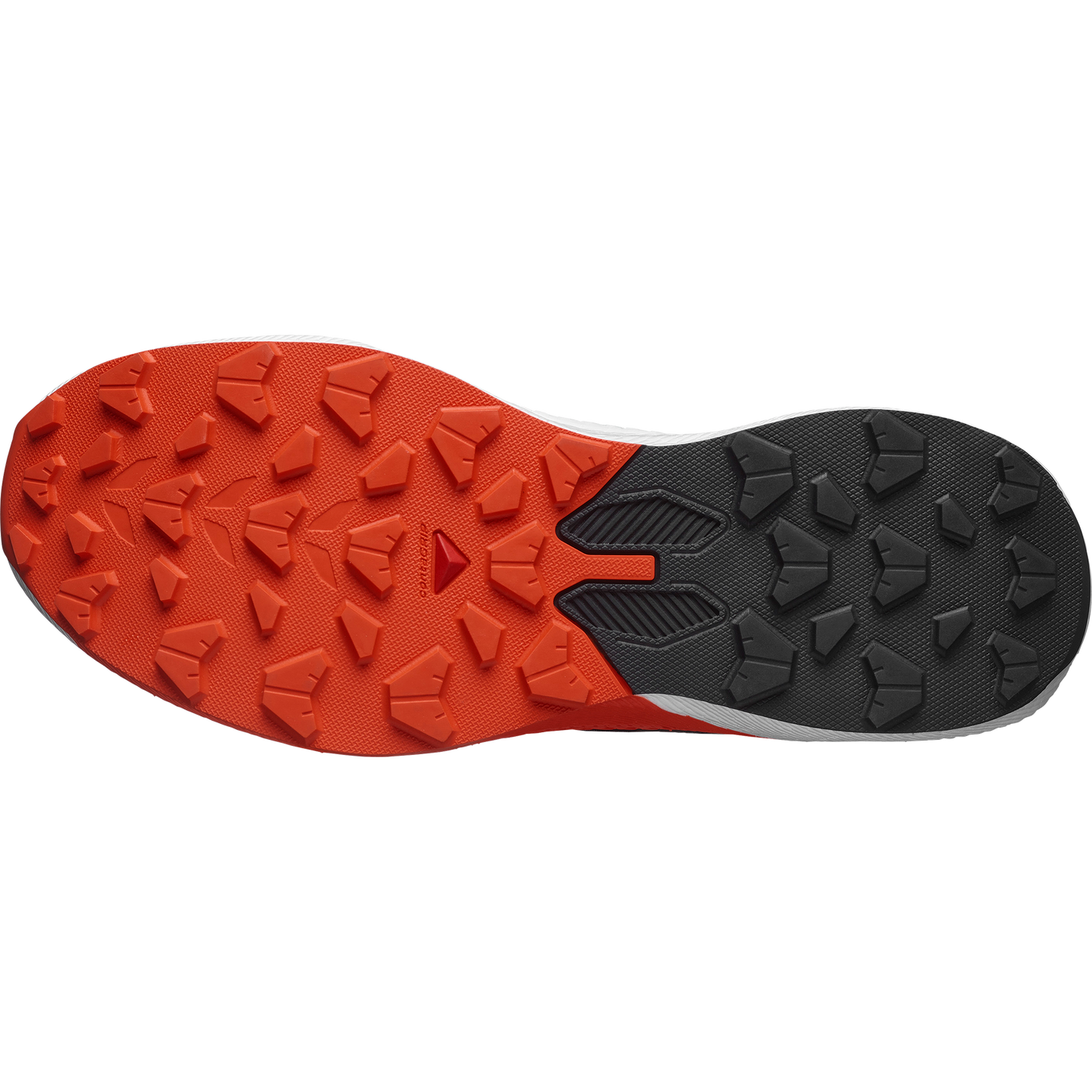 SALOMON PULSAR