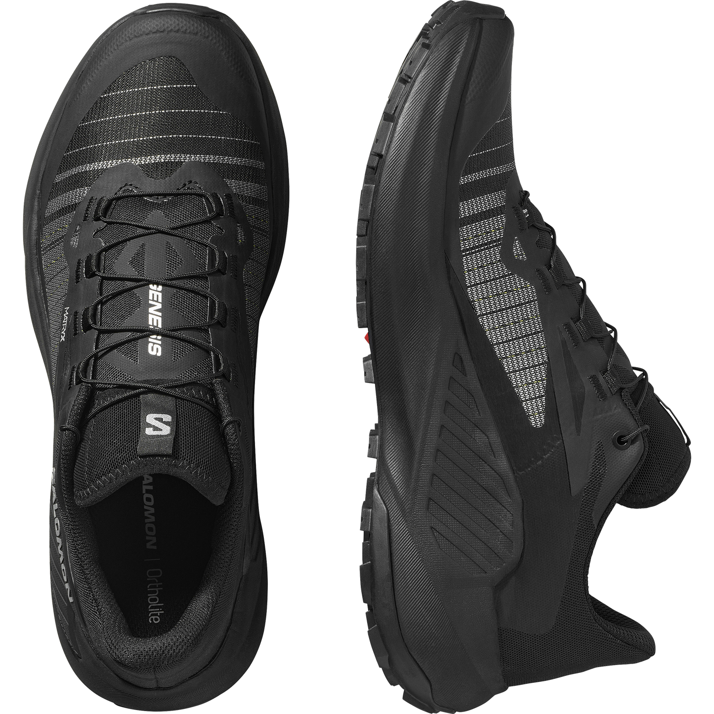 SALOMON GENESIS